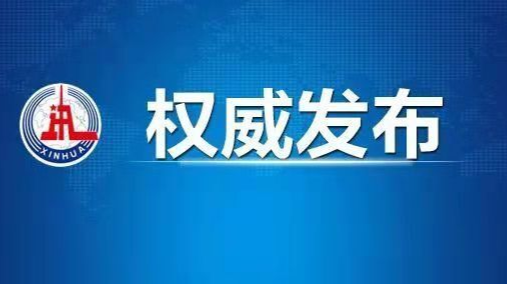 速览！习近平主席在金砖峰会上的重要讲话