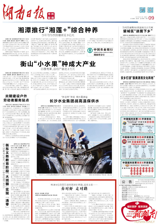 湖南日报丨株洲5位农民引进南美对虾养殖，迎来丰收——养对虾 走对路