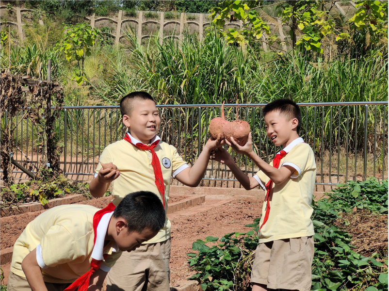 新马小学：让“双减”落地成为最好的开学礼