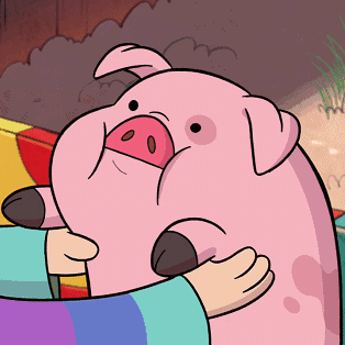 今天揭秘一只猪的成长