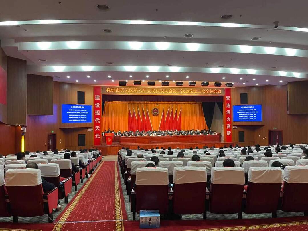 天元区六届人大一次会议举行第二次全体会议