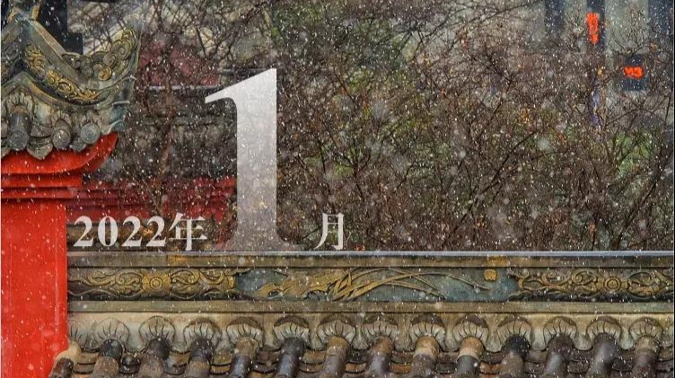 最新放假通知！不调休、不免费！