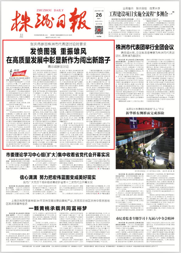 张庆伟同志参加株洲市代表团讨论党代会报告，说了啥？