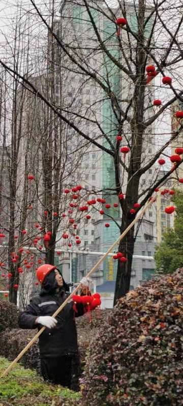天元城管：鲜花迎新春，欢喜过大年
