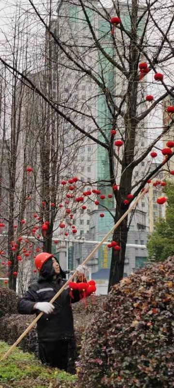 天元城管：鲜花迎新春，欢喜过大年