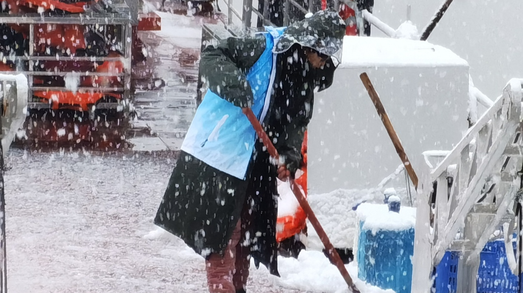 雪天很冷 他们很暖