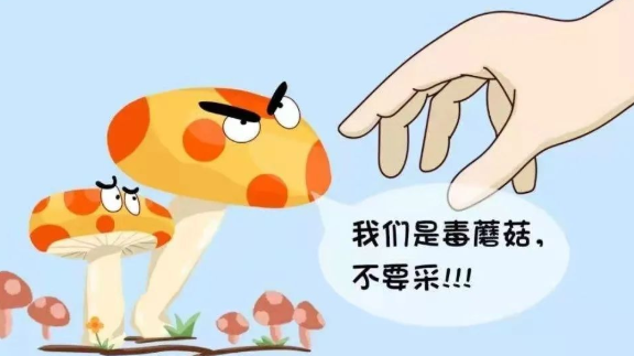 预防野生毒蘑菇中毒——安全“四记”