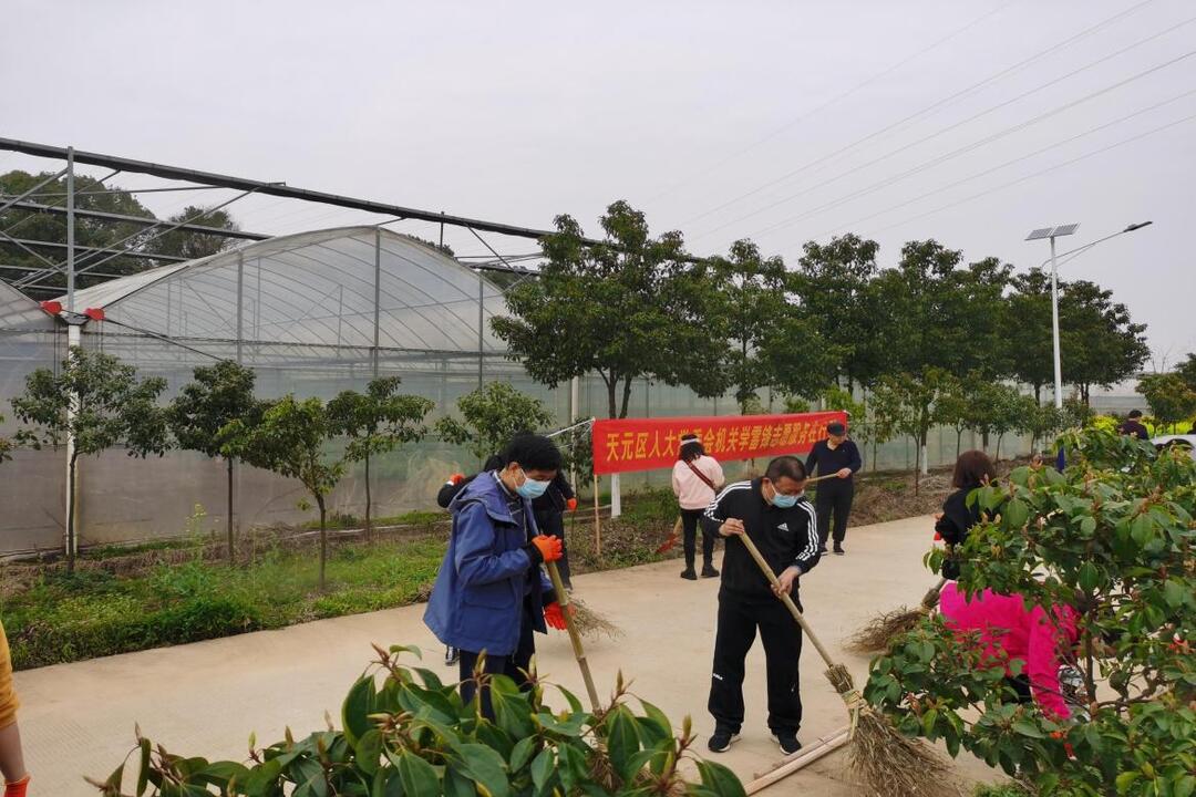 区人大常委会机关学雷锋活动