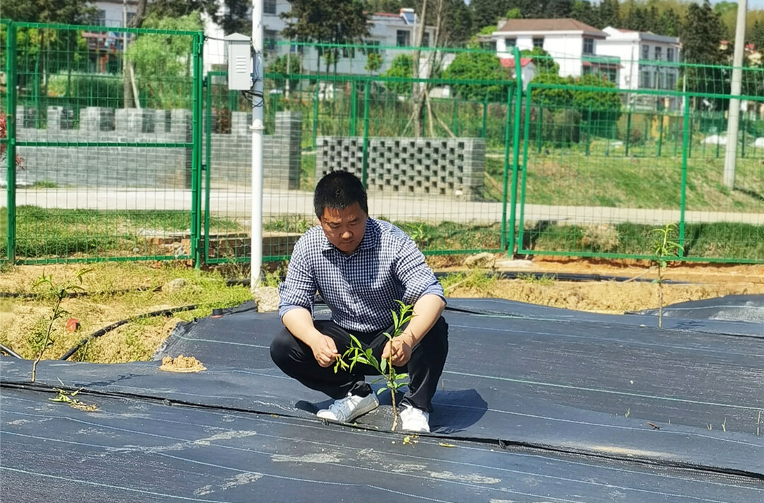 蚯蚓翻土 5G气象站“护航” 看一条蚯蚓如何“串起”铁篱村智慧农业链条