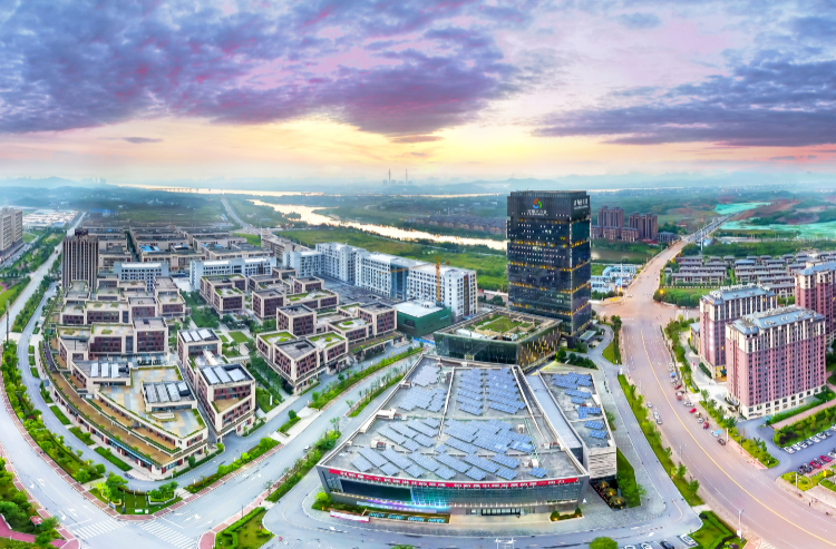 新华财经丨株洲高新区：民营孵化器与国有平台良性互动 市场主体韧性活力尽显