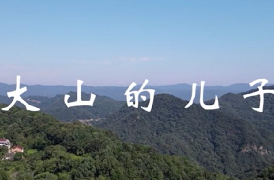 《大山的儿子》