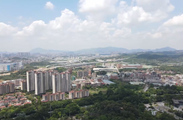 引进40余个项目，总投资额50亿元+！“夏季攻势”硕果满载而归！