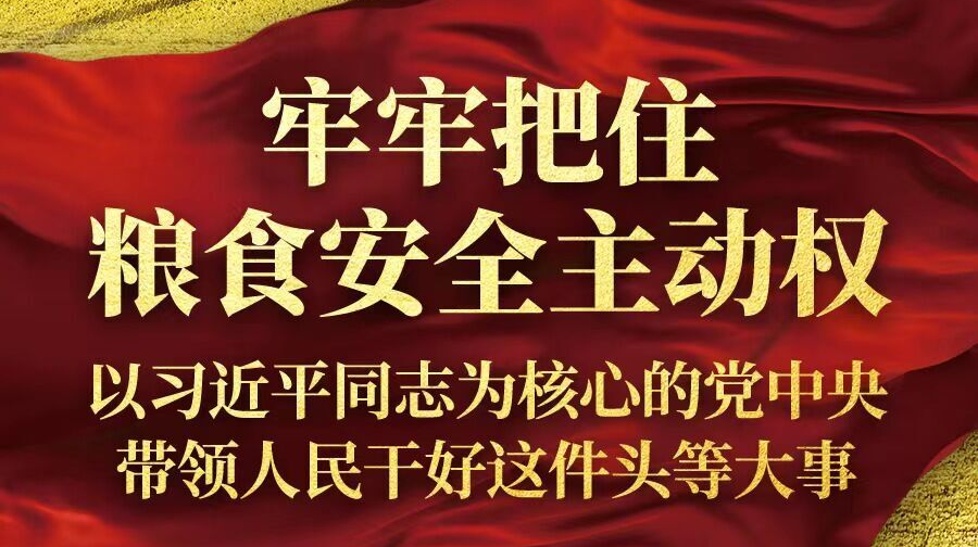 牢牢把住粮食安全主动权——以习近平同志为核心的党中央带领人民干好这件头等大事