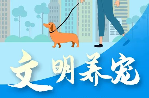 文明礼仪 | 社区生活礼仪，我们这样做