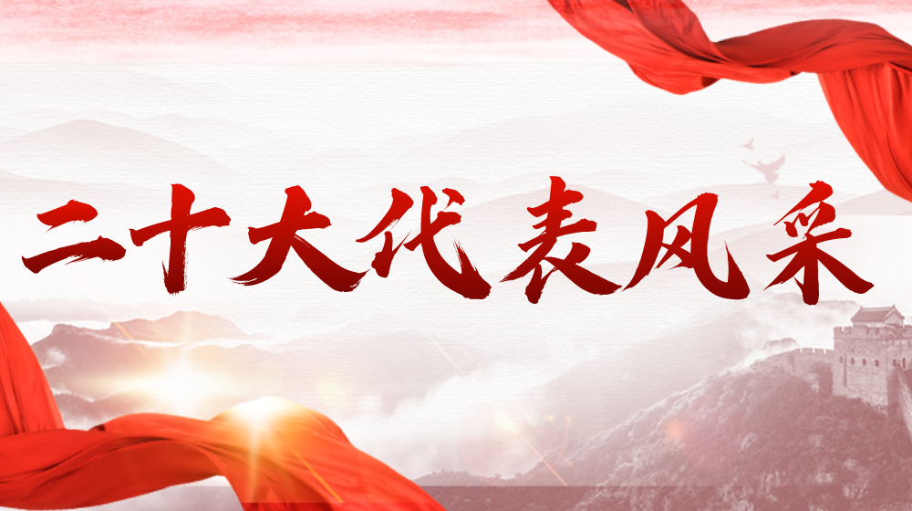 二十大代表風采