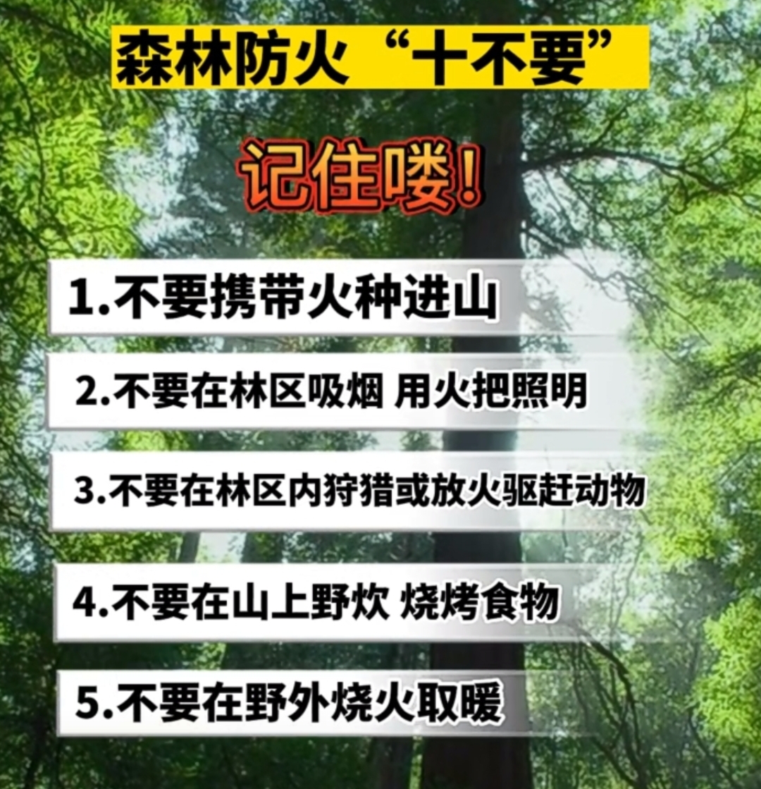 秋冬草木干，防火要當先
進入林區必須嚴格遵守森林防火規定
森林防火“十不要”
一起了解一下吧