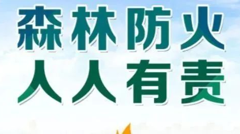 消防无小事！天元区全面筑牢森林防火安全屏障