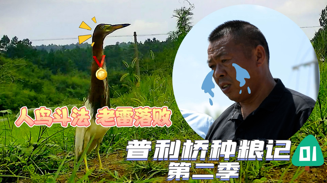 《普利橋種糧記·夏管篇》全集