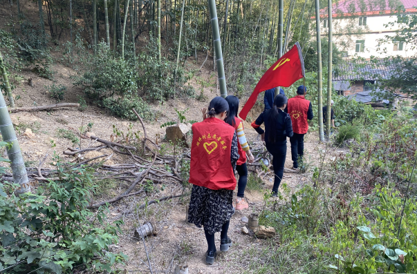 森林防火面对面，党旗飘扬在一线