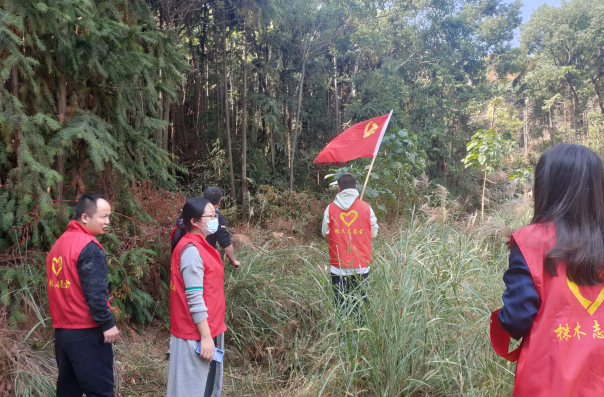 【文明实践在天元】森林防火巡查，我们一直在行动
