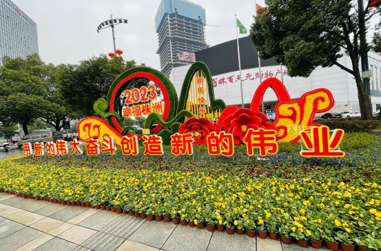天元城管：营造节日氛围 花卉扮靓新区