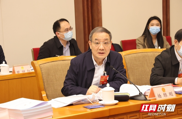 两会湘声︱杨维刚：大力弘扬左宗棠爱国主义精神和民族精神