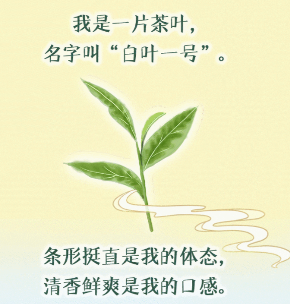 手绘动图丨一片“叶子”的奇妙旅程
