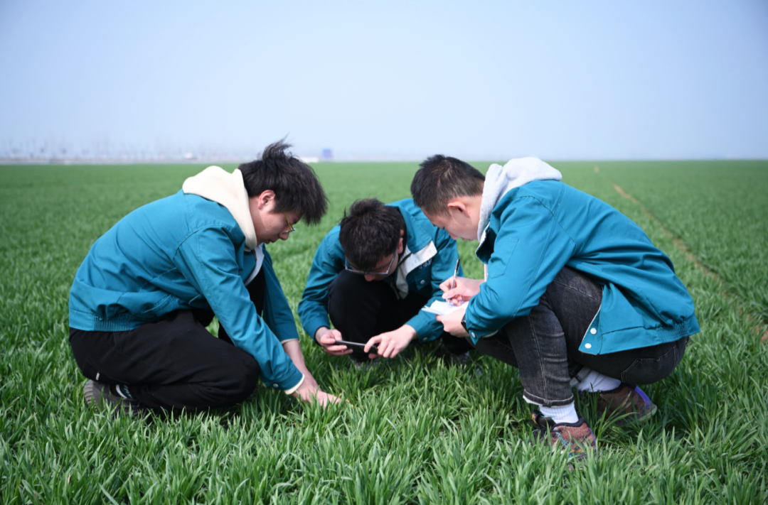 操作这些新农具的生力军，正是新一代年轻大学生