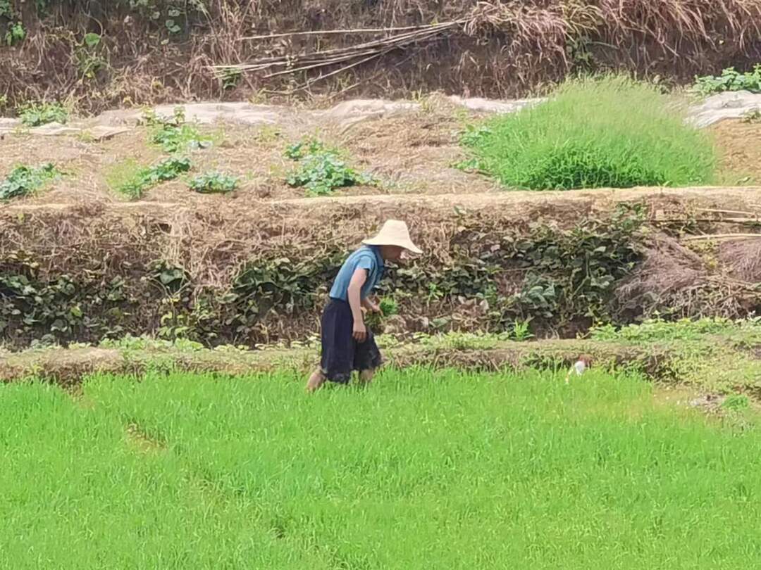 我眼中的美丽乡村——天元区青训营第三期之田野调查