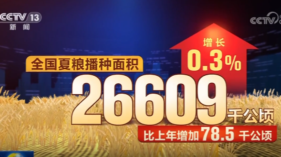 全国夏粮产量14613万吨 实现丰收