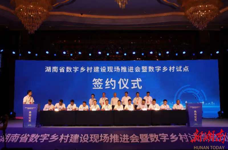 武妹说｜以“数”着墨，绘就乡村振兴壮丽画卷——写在湖南省数字乡村试点工作正式启动之际