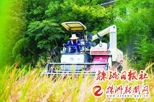 【株事有理】株洲多措并举培育“慧种地”的 “新农人”