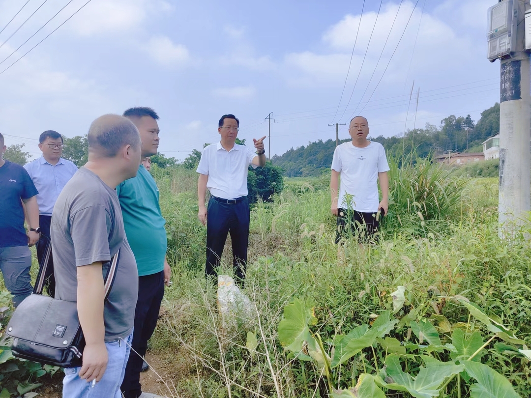天元区人大调研农业小型水利设施建设和管护工作