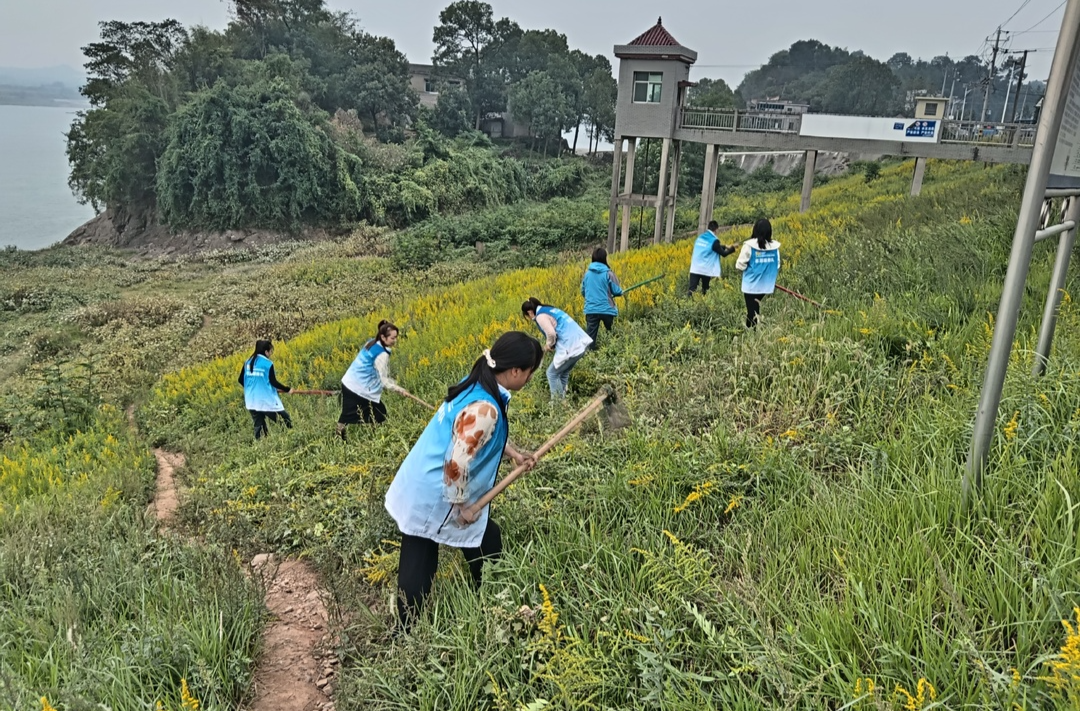 先锋村：40余名师生志愿者合力清除“一枝黄花”
