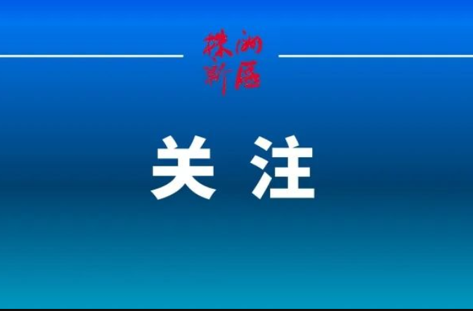 黄天良：精耕细作15载 “小不点”长成“小巨人”