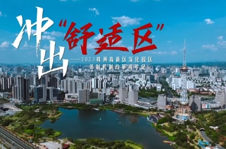 《冲出舒适区》第四集：生态重构 创新雨林