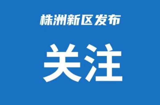 发挥人大职能作用  夯实乡村振兴根基