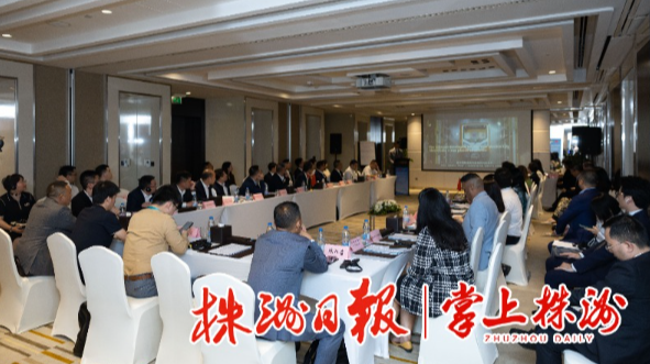 株洲优势产业走进中东市场恳谈会在阿联酋迪拜举行