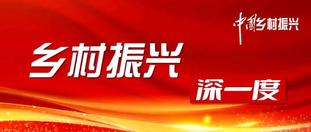 三次考察调研，总书记为何都提到“移风易俗”？