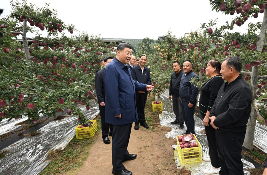 学习进行时丨“让农民腰包越来越鼓、生活越来越美好”——习近平总书记走进田间地头话“三农”