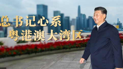重磅微视频丨总书记心系粤港澳大湾区