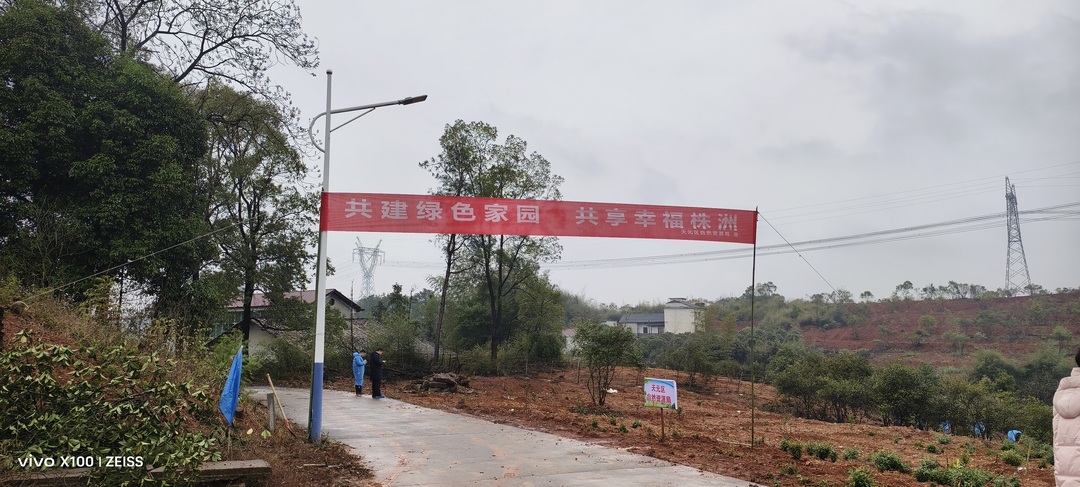 天元区开展2025年全民义务植树活动