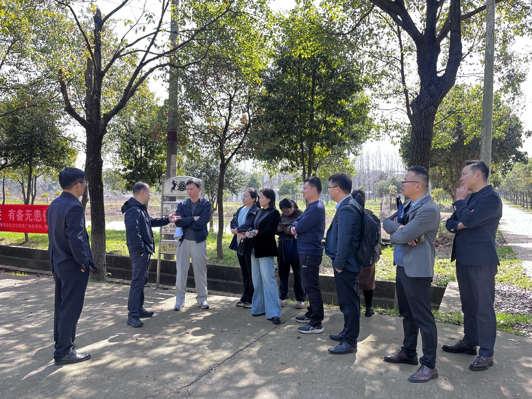 市自然资源和规划局赴天元区调研全域土地综合整治 共绘乡村发展新蓝图