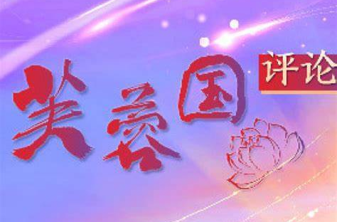好评中国丨把“数字便民桥”架在群众心坎上
