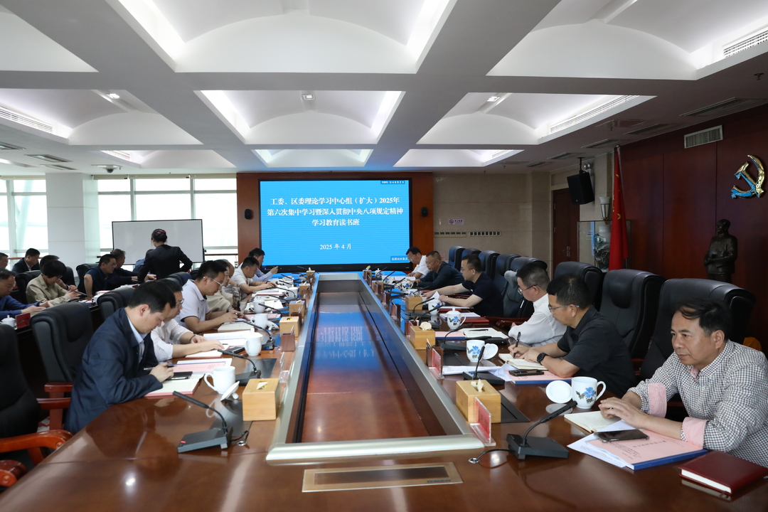 工委、区委理论学习中心组（扩大）开展2025年第六次集中学习暨深入贯彻中央八项规定精神学习教育读书班
