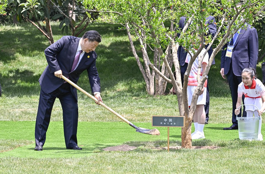 乘风破浪、勇毅前行——习近平主席推动中国同中亚五国友好合作的故事