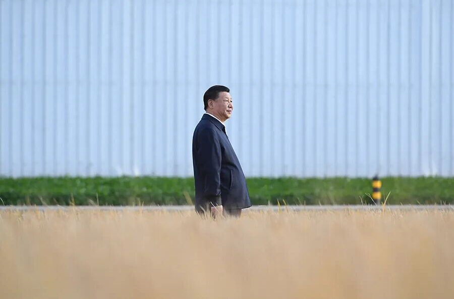 习近平总书记心系农民丰收的故事
