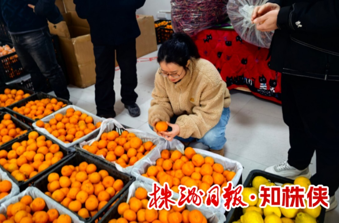 株洲日报丨萤光虽微 愿为其芒 ——天元区干部谭嘉璟挂职泸溪县侧记