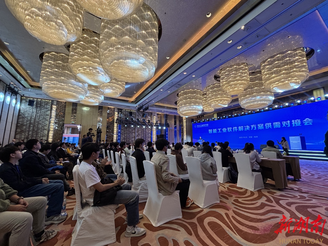 新湖南丨智能工业软件解决方案供需对接会举行