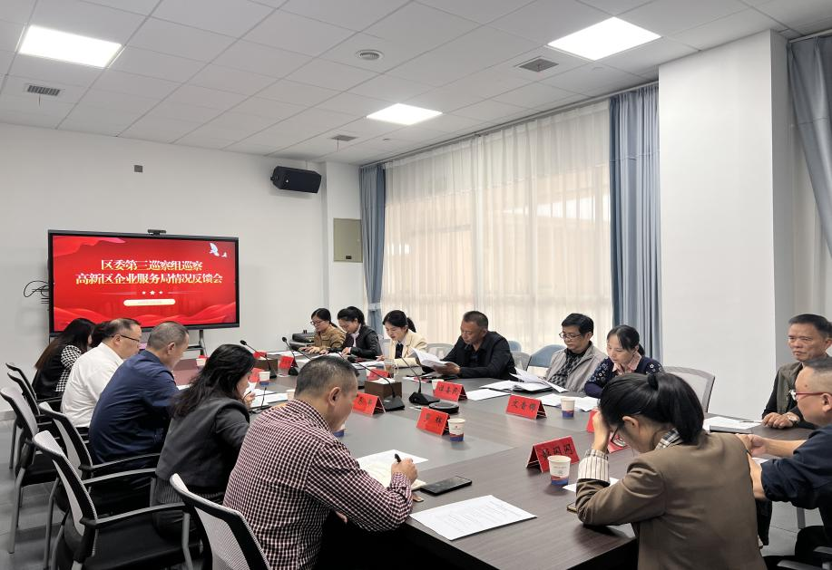 区委第三巡察组向高新区企业服务局反馈巡察情况